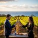 Couple toasting red wine at a vineyard overlooking the ocean, enjoying wine tasting with charcuterie.
