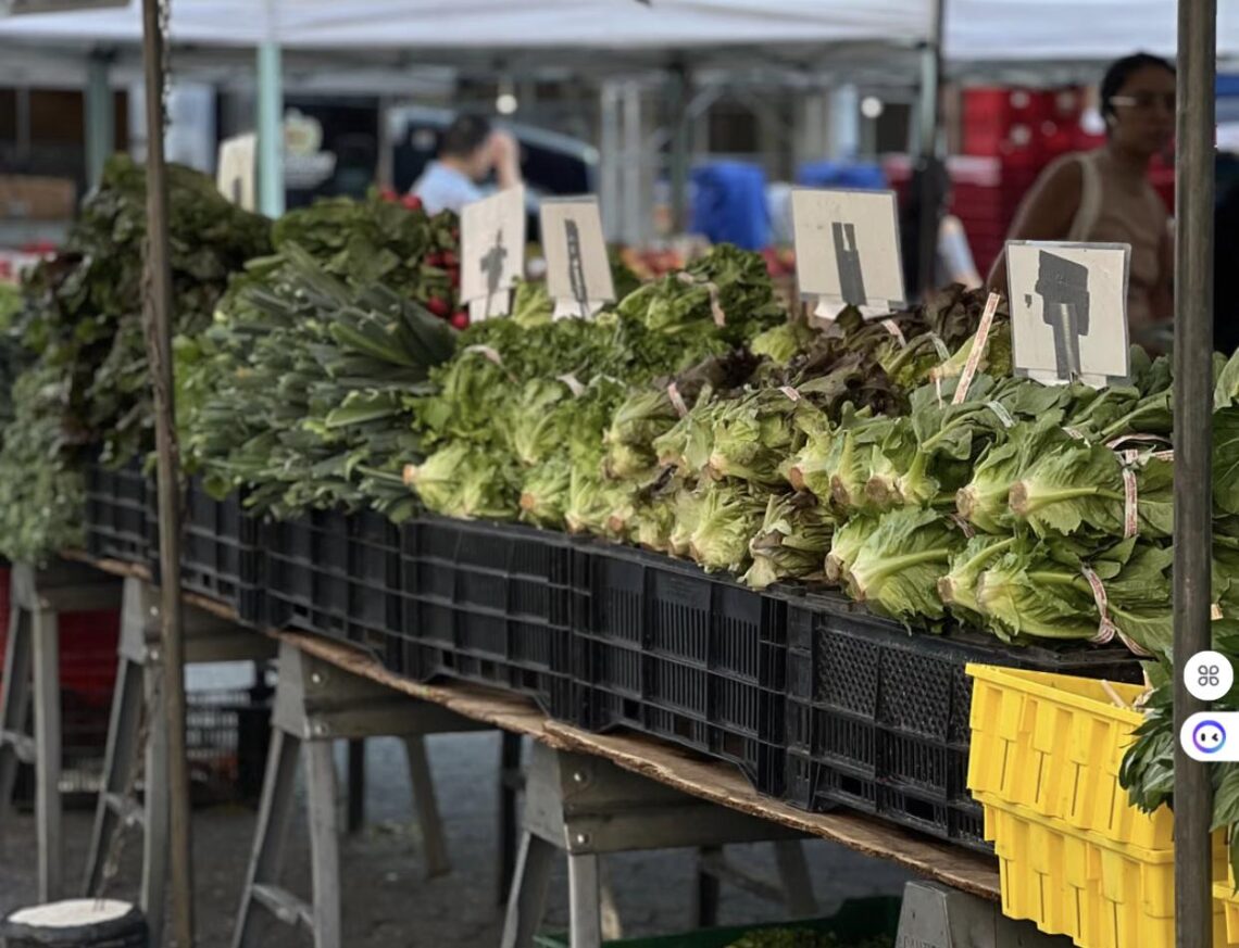 Fresh lettuce and produce displayed on crates at an outdoor farmers market stand.