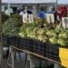 Fresh lettuce and produce displayed on crates at an outdoor farmers market stand.