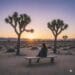 A person sits peacefully on a meditation cushion on a wooden deck, looking out at a tranquil desert landscape with Joshua trees and a colorful sunset sky.