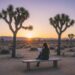 A person sits peacefully on a meditation cushion on a wooden deck, looking out at a tranquil desert landscape with Joshua trees and a colorful sunset sky.