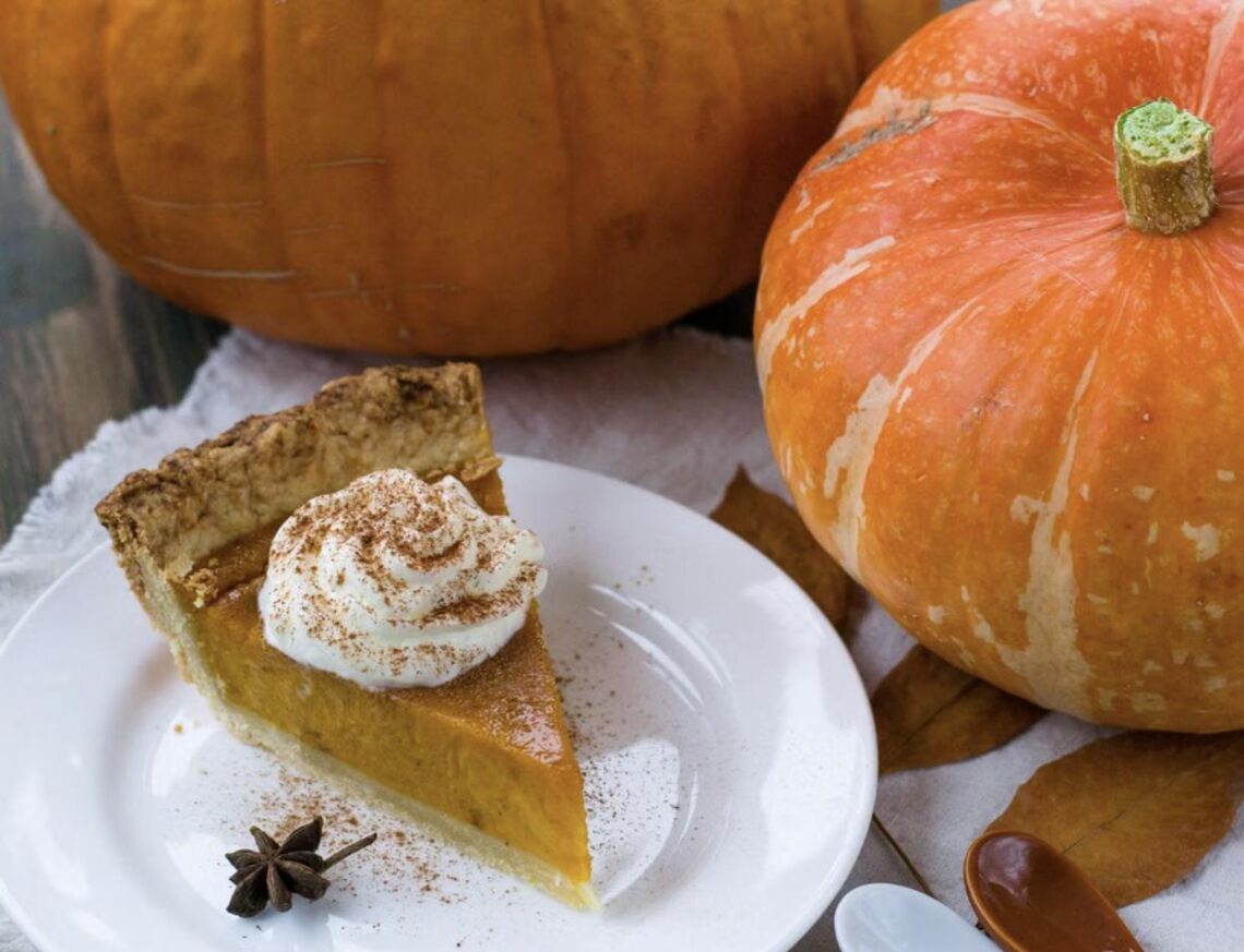 A slice of pumpkin pie topped with whipped cream and cinnamon, served on a white plate beside whole pumpkins.