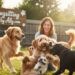 A happy group of diverse dogs, including a Goldendoodle and a Golden Retriever, playing in a sunny green backyard with a smiling woman. A wooden sign in the background reads "Dogsitting by Ally.com" and a Culinary Passages logo is in the lower left side.