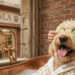 A happy cream-colored Goldendoodle named Barnaby relaxes in a copper bubble bath at the SpawtlessLA grooming shop in Bel Air. He is wearing a white monogrammed spa robe while a groomer places cucumber slices over his eyes; the background features a "Culinary Chardonnay" bottle and grooming products.