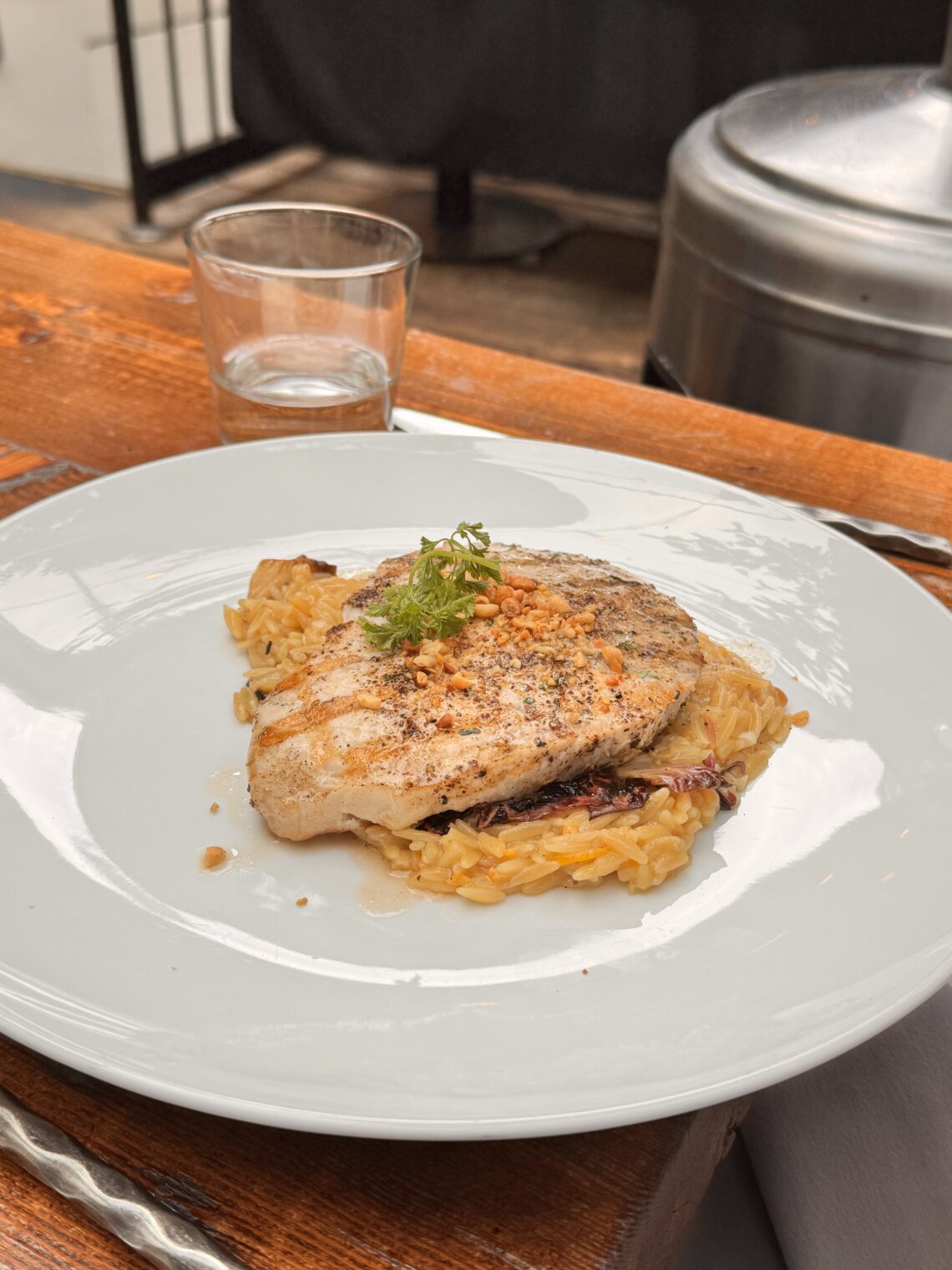 A grilled swordfish fillet with visible char marks served over a bed of savory orzo pasta, topped with crushed nuts and a sprig of fresh parsley at Fia Santa Monica.