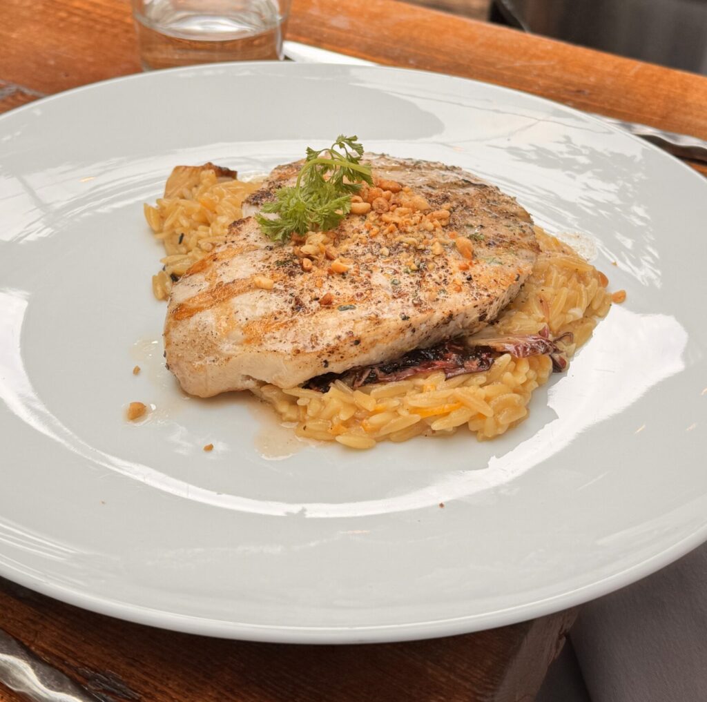 A grilled swordfish fillet with visible char marks served over a bed of savory orzo pasta, topped with crushed nuts and a sprig of fresh parsley at Fia Santa Monica.