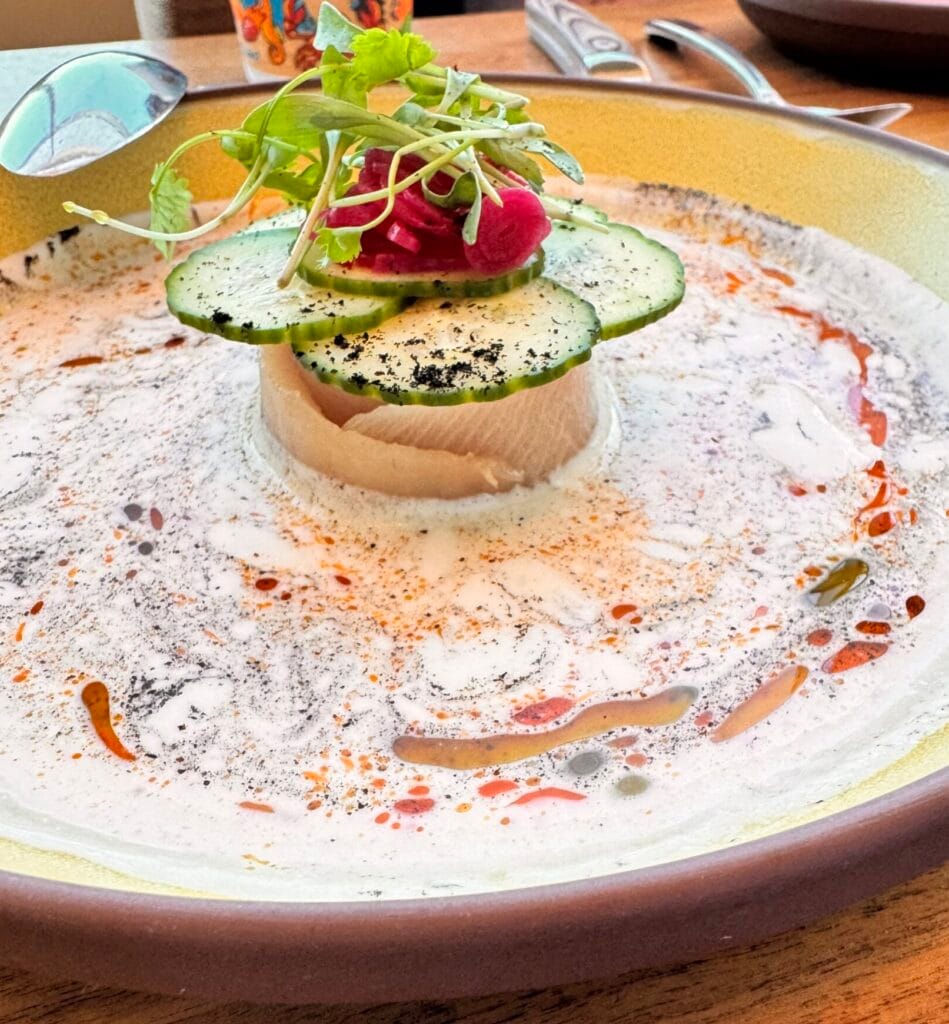 A gourmet plate of Ceviche De Coco at Sendero, featuring a cylindrical tower of fresh white fish topped with sliced cucumbers, pickled onions, and microgreens, surrounded by a creamy coconut and chili oil sauce.