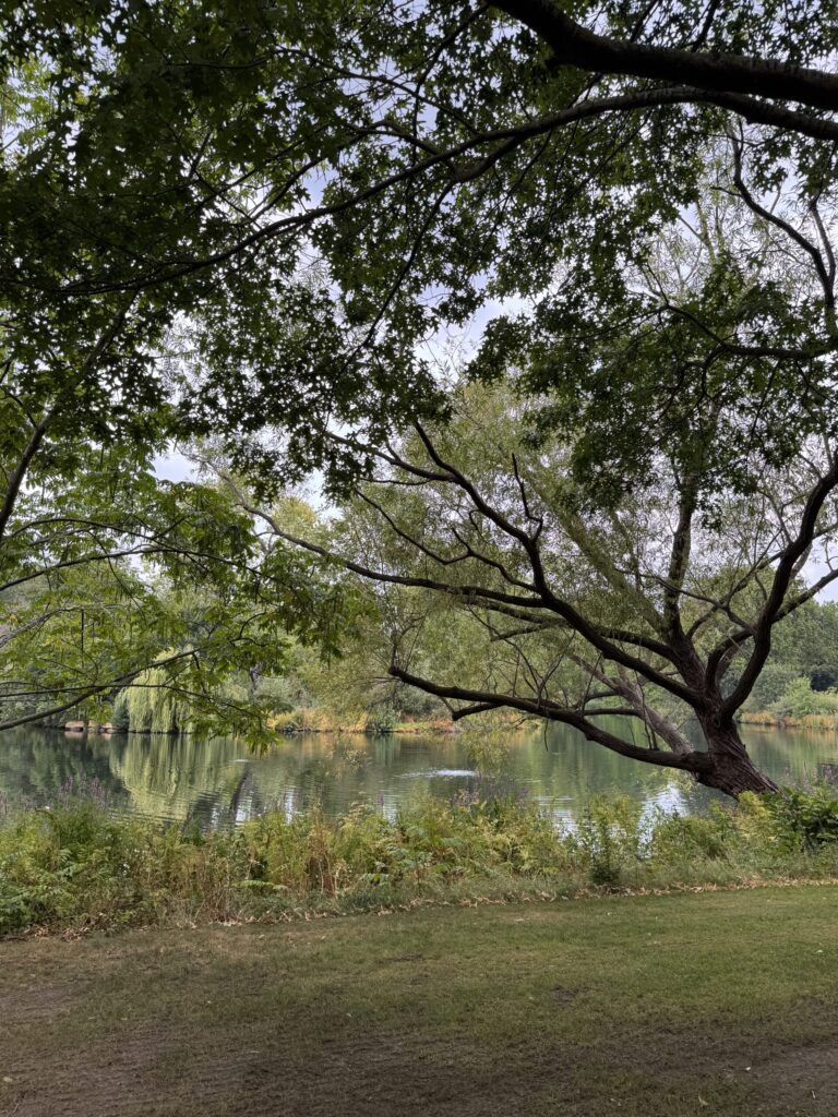 The peaceful gardens at Buckingham Palace, visited on our London with kids trip