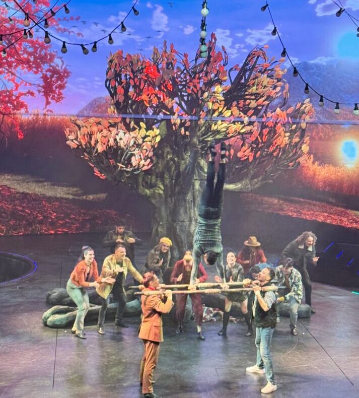Tree of Life show on stage in the Celebrity Apex theater