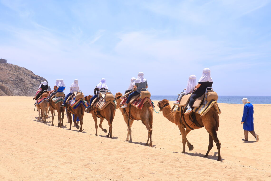 Line of tourists riding camels single file along a sandy beach near Cabo San Lucas, with a guide walking alongside