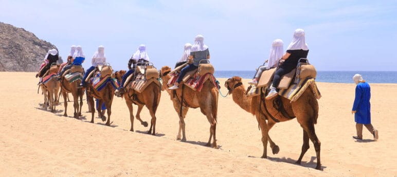 Line of tourists riding camels single file along a sandy beach near Cabo San Lucas, with a guide walking alongside