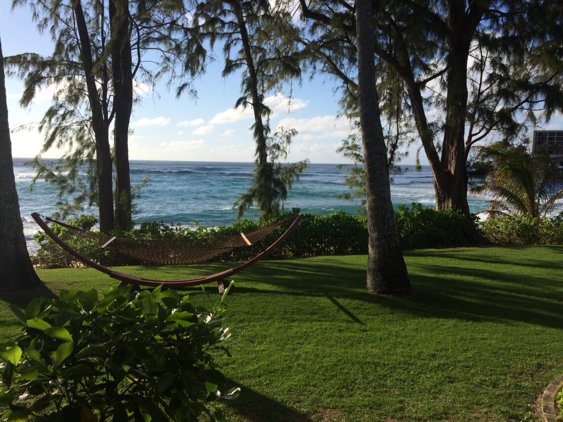 The grounds of the Ritz-Carlton Turtle Bay resort, with a hammock overlooking the ocean
