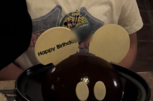 Mickey-shaped chocolate birthday cake at Wine Country Trattoria in Disney California Adventure