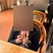Child at a table at La Provence Patisserie in Beverly Hills holding a small gift box