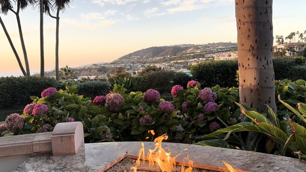 Fire pit patio view of hydrangeas and the Dana Point coastline at golden hour