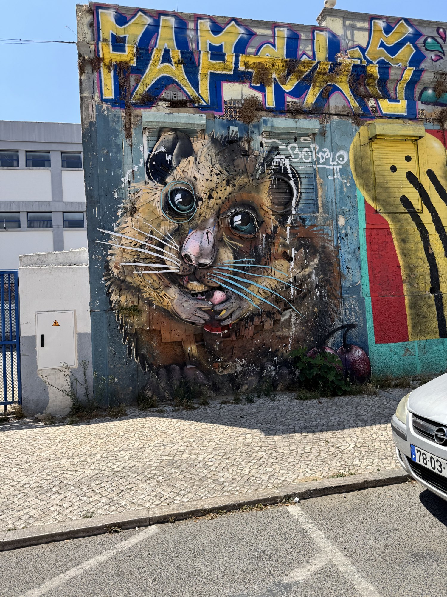 Bordalo II street art we spotted on our Lisbon tuk tuk tour