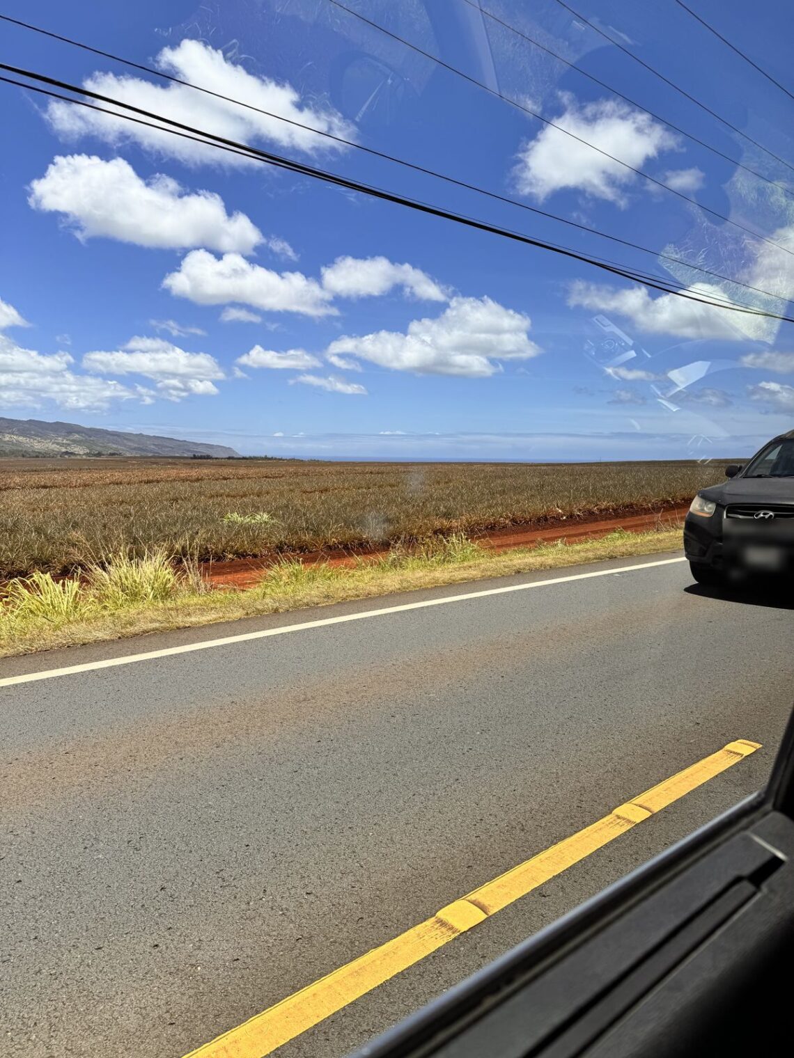 Pineapple fields seen from the road to the North Shore of Oahu