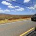 Pineapple fields seen from the road to the North Shore of Oahu